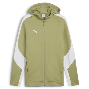 Куртка Puma teamEVOSTRIPE Hooded Jacket 659947-40