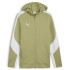 Куртка Puma teamEVOSTRIPE Hooded Jacket 659947-40