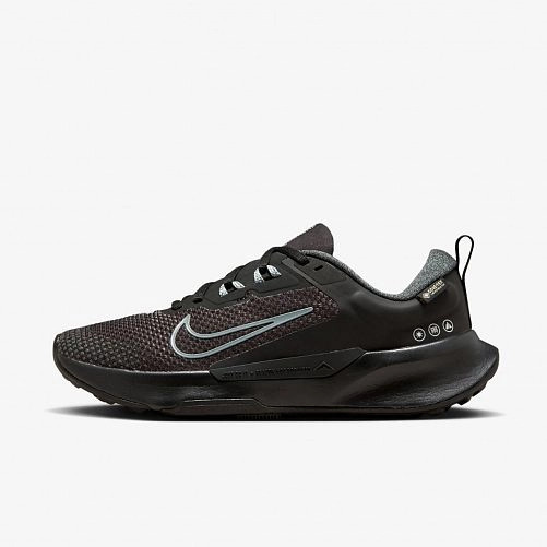 Кросівки WMNS JUNIPER TRAIL 2 GTX FB2065-001