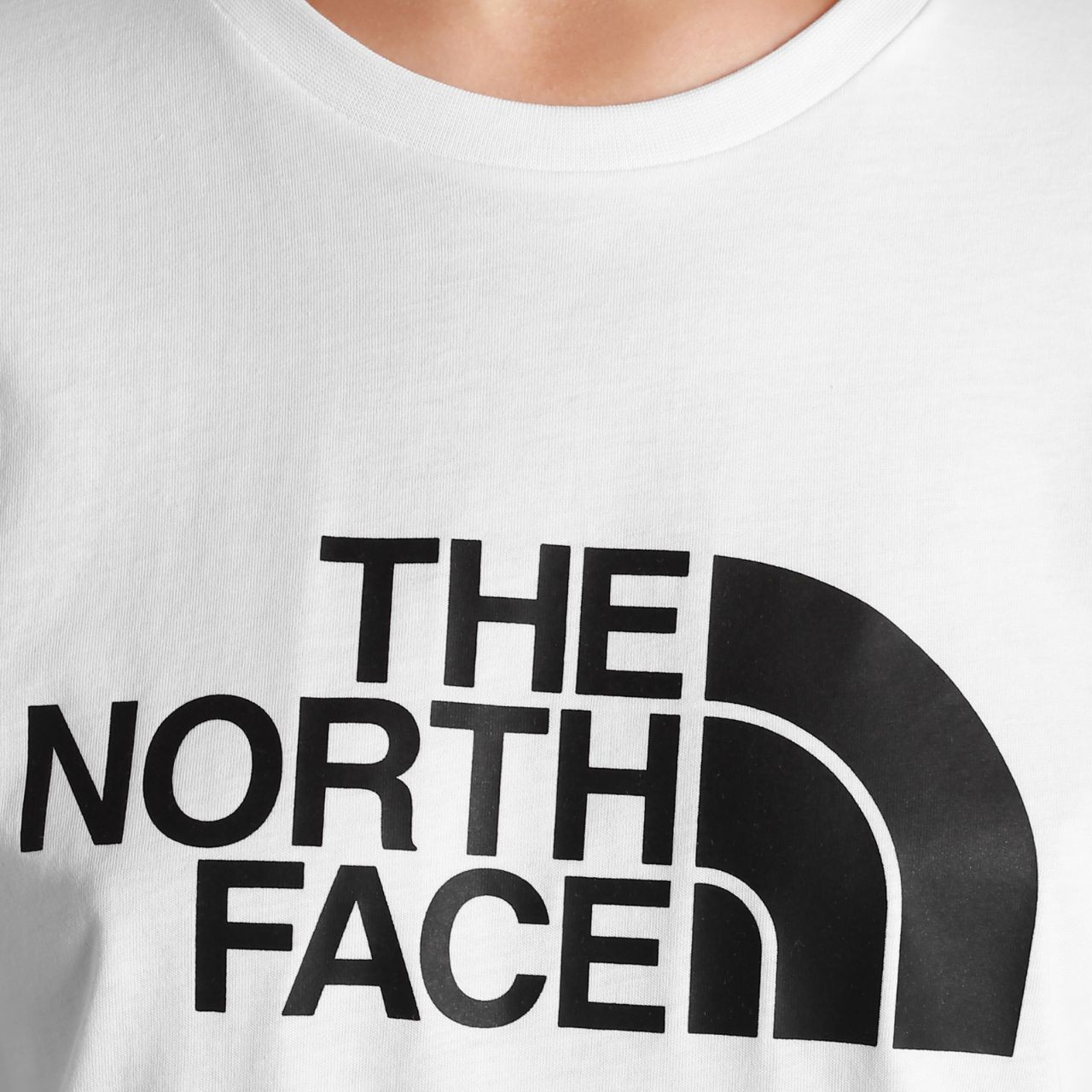 Футболка The North Face Easy Tee NF0A4T1QFN41