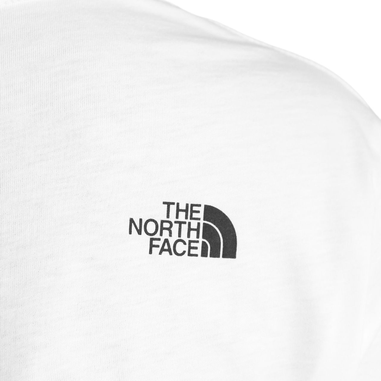 Футболка The North Face Easy Tee NF0A4T1QFN41