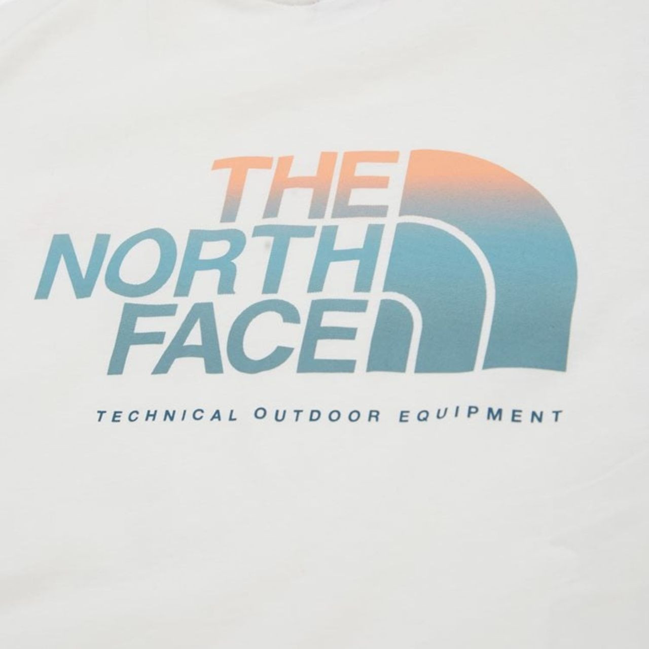 Футболка The North Face M D2 GRAPHIC S/S TEE NF0A83FQN3N1