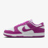 Кросівки жіночі Nike Dunk Low Next Nature (DD1873-110) DD1873-110