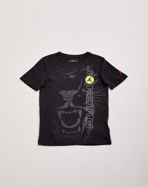 Футболка JORDAN 95C494-023