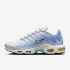 Кросівки Nike W AIR MAX PLUS DZ3670-004