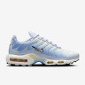 Кросівки Nike W AIR MAX PLUS DZ3670-004