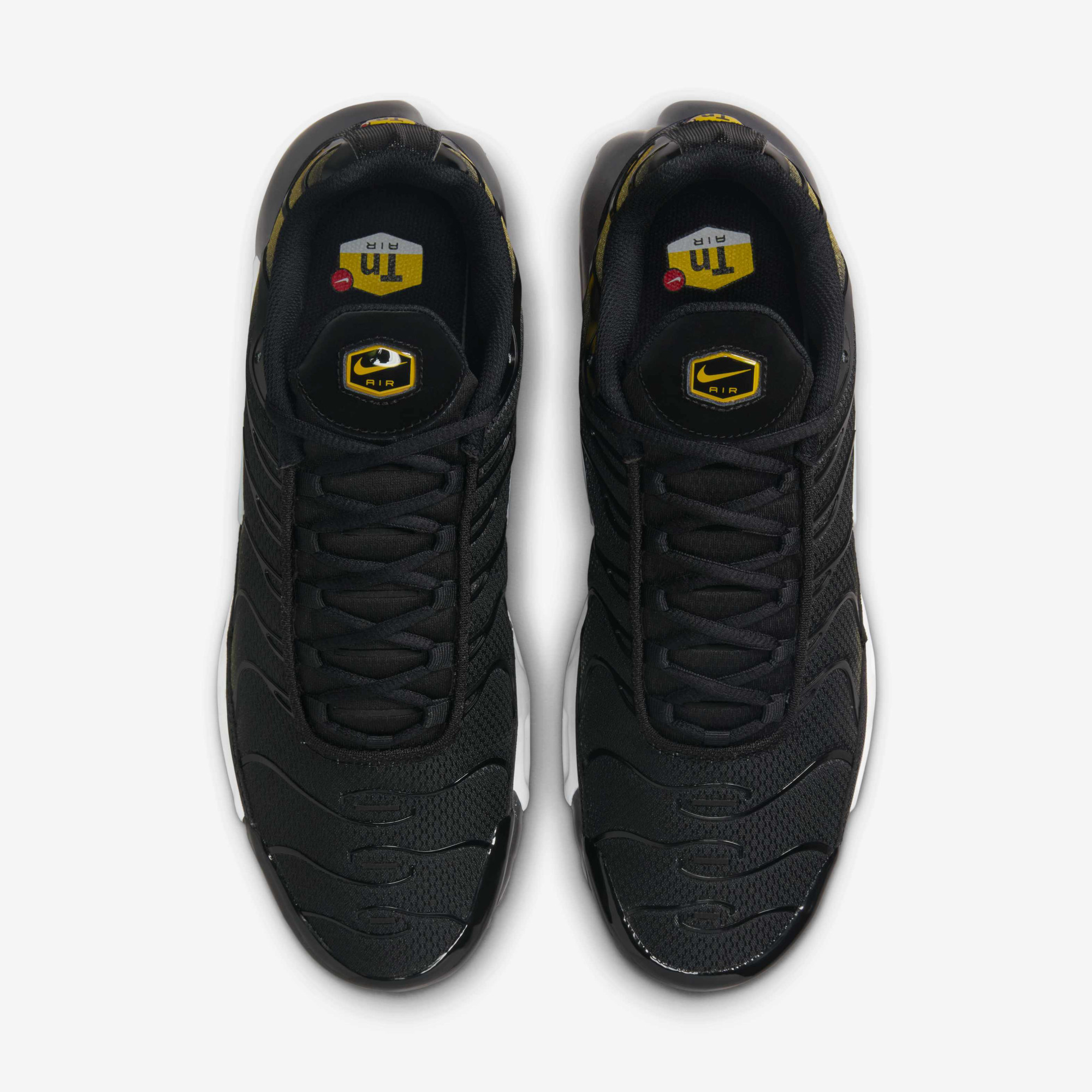 Кросівки Nike AIR MAX PLUS DM0032-013