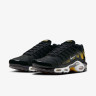 Кросівки Nike AIR MAX PLUS DM0032-013