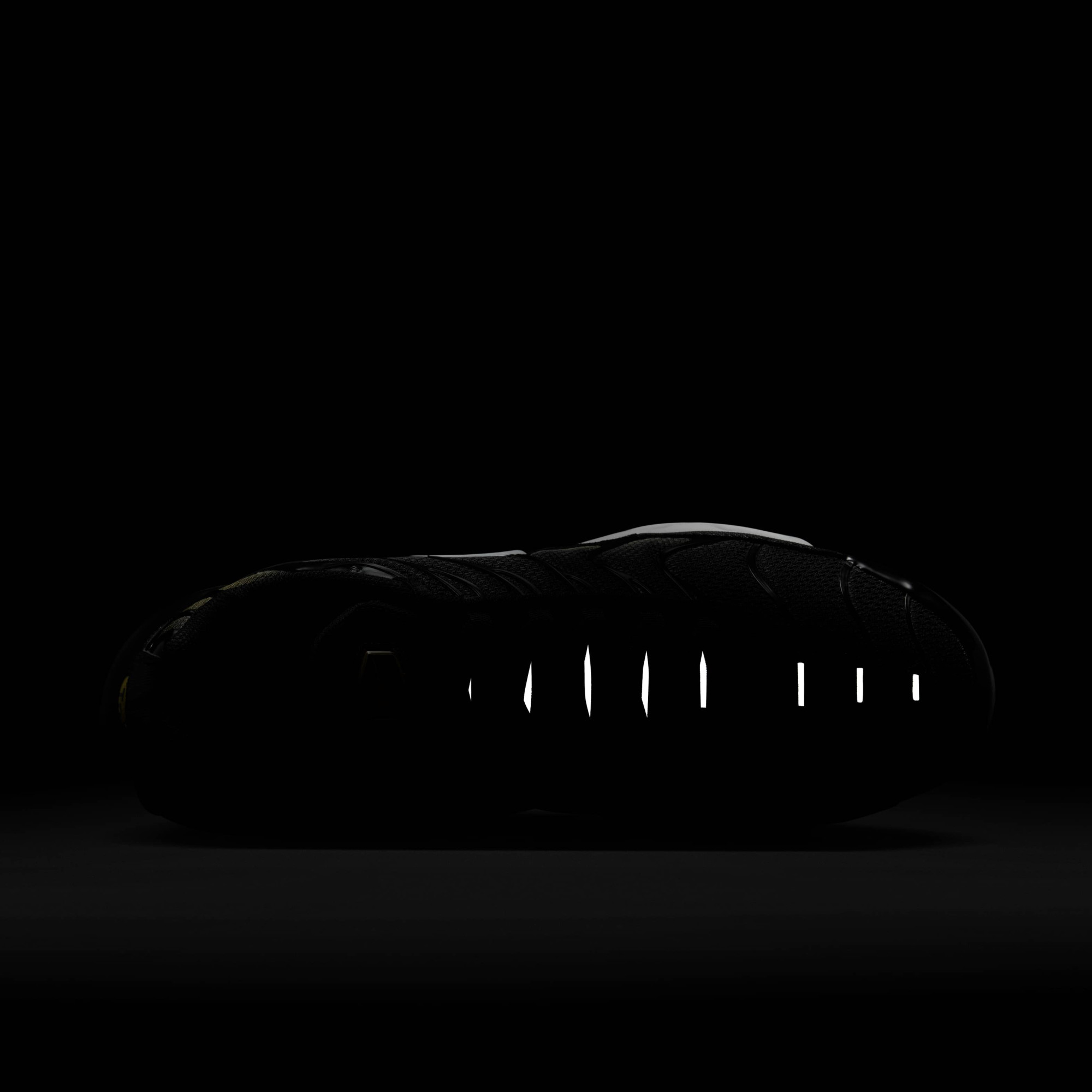 Кросівки Nike AIR MAX PLUS DM0032-013