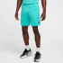 Шорти чоловічі Nike Nsw Mesh Short Turquoise HQ1984-345 Шорти чоловічі Nike Nsw Mesh Short Turquoise HQ1984-345