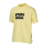Футболка Nike M NK SB TEE SPRING BREAK DX9457-706