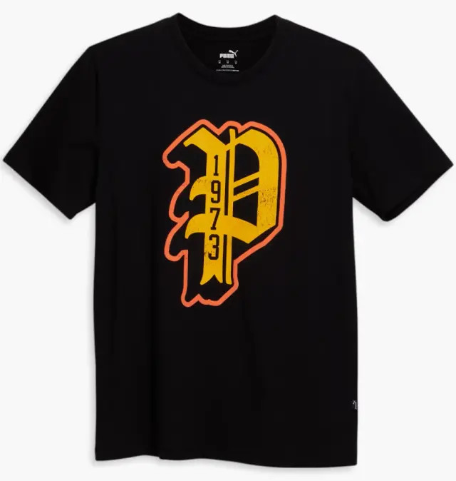 Футболка Puma Dylan Logo 678787-01