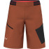 Шорти Salewa Pedroc 3 DST Cargo Mns 013.012.1314