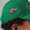 Бейсболка Jordan Signature Curved Brim Cap 9A9028-E1P