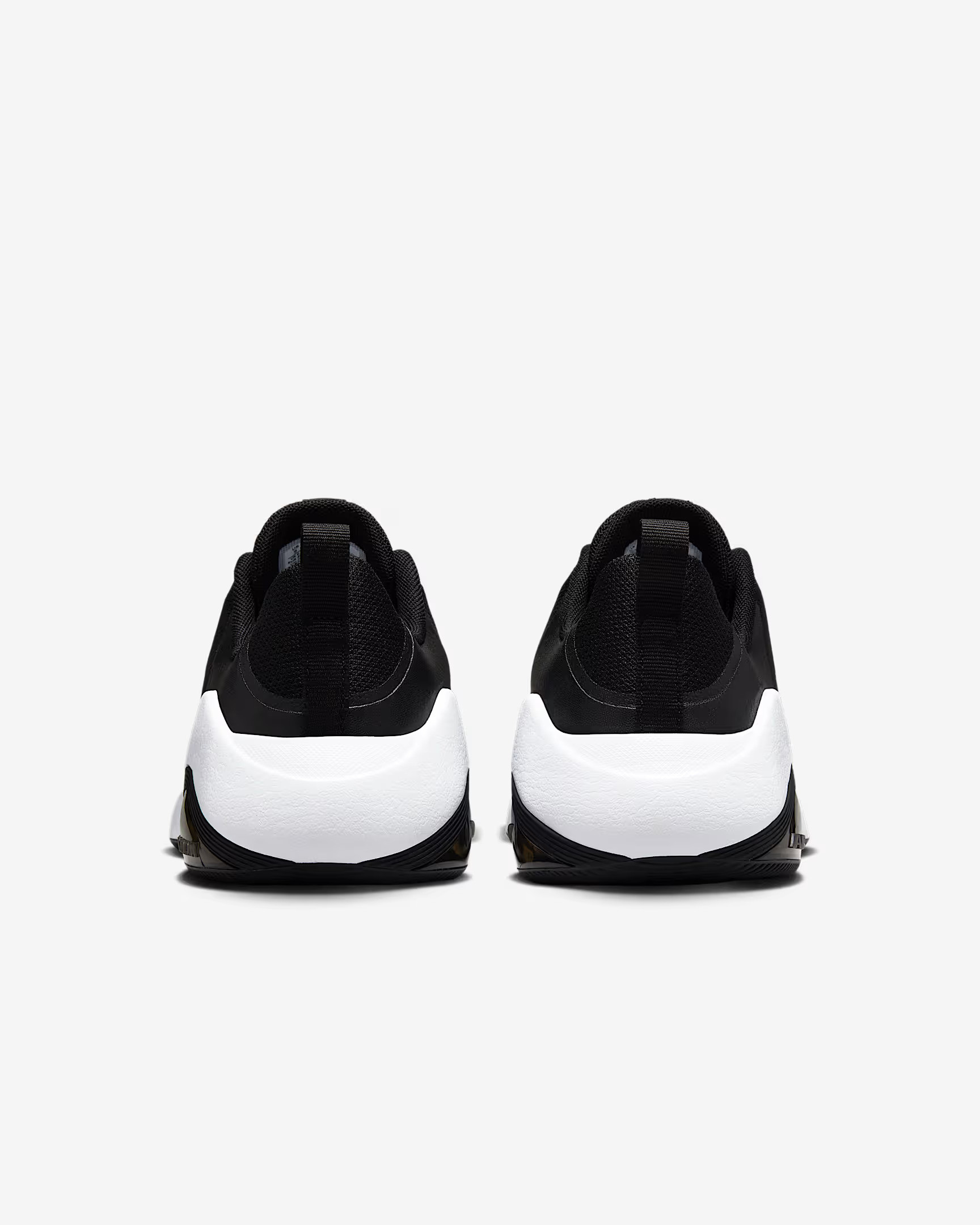 Кросівки W NIKE AIR ZOOM BELLA 7 FZ1689-003