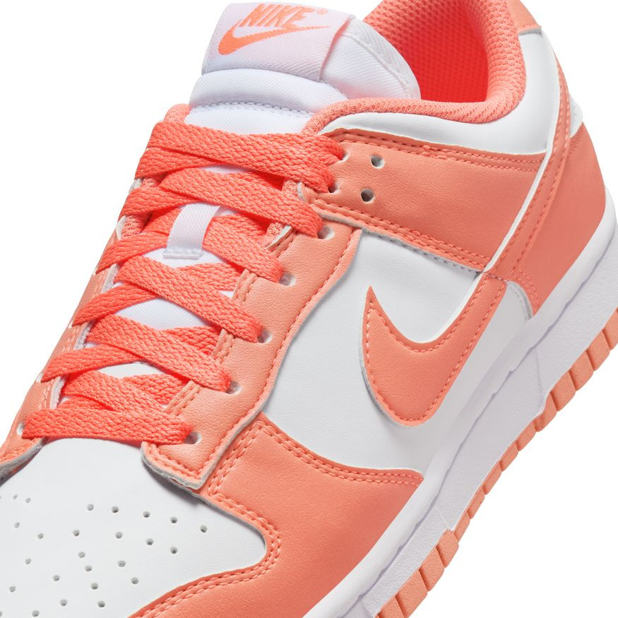 Кросівки жіночі Nike Dunk Low Next Nature (DD1873-109) DD1873-109