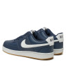 Кросівки Nike Court Vision Low FZ5547-400