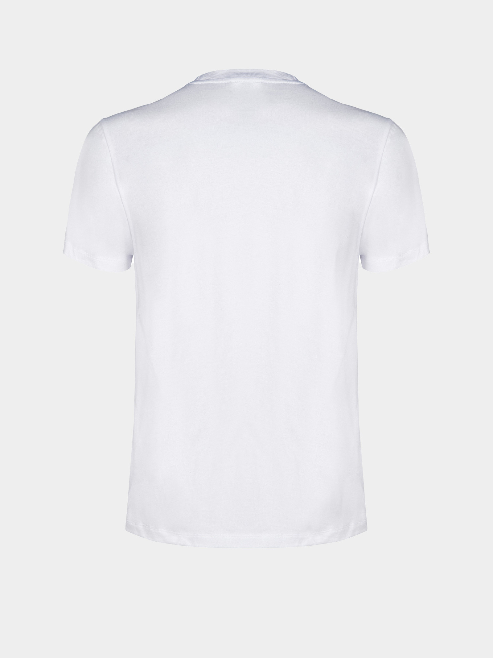 Футболка Arena T-SHIRT BIG LOGO 010195-100