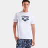 Футболка Arena T-SHIRT BIG LOGO 010195-100