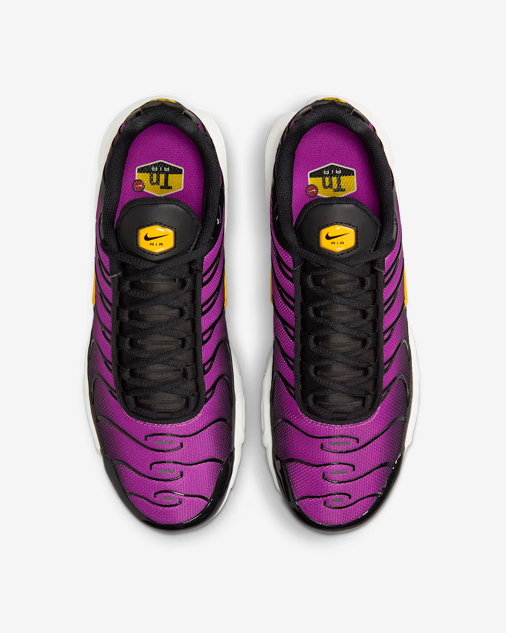 Кросівки Nike W AIR MAX PLUS DZ3670-005