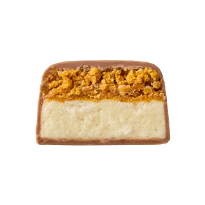 Батончик Space Bite - 10x45g Coconut Mango 2023-10-4659