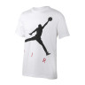 Футболка Nike M J JUMPMAN AIR HBR SS CREW CV3425-101