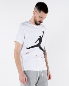 Футболка Nike M J JUMPMAN AIR HBR SS CREW CV3425-101