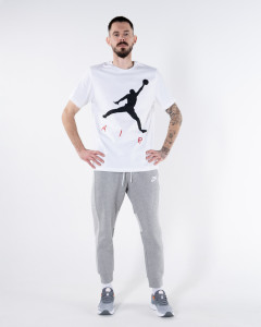Футболка Nike M J JUMPMAN AIR HBR SS CREW CV3425-101