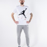 Футболка Nike M J JUMPMAN AIR HBR SS CREW CV3425-101
