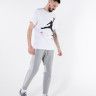 Футболка Nike M J JUMPMAN AIR HBR SS CREW CV3425-101