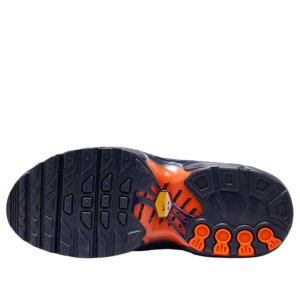 Кросівки Nike AIR MAX PLUS (PS) FZ0023-700