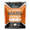 Таблетки Carbo Mass Gainer - 2000g Cappucino 100-23-3990546-20