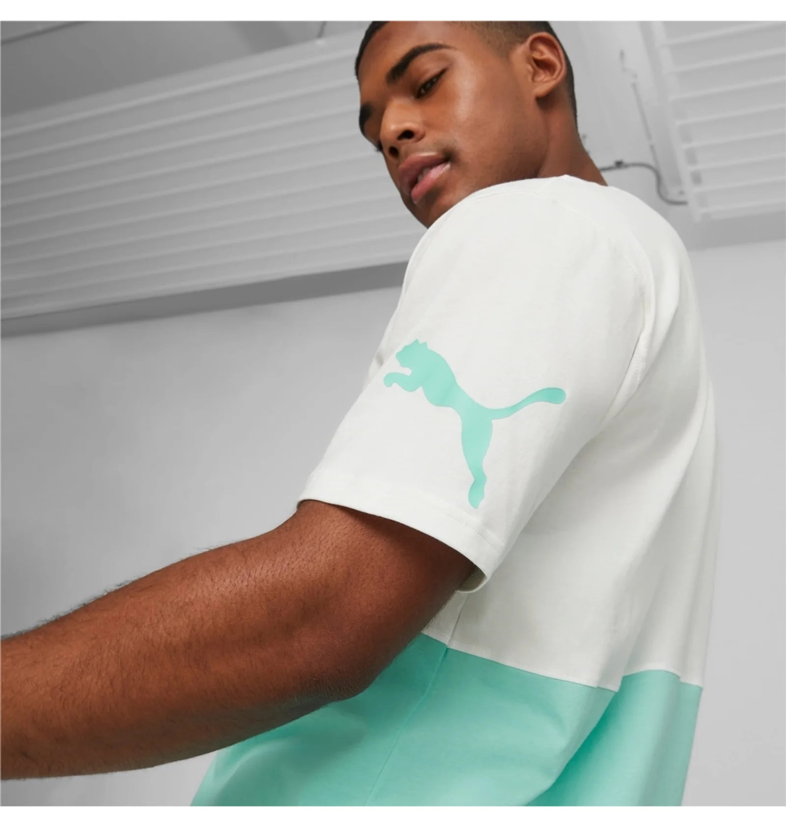 Футболка 673321-77 Puma 673321-77