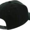Кепка Everlast HUGY чорний Уні OSFM 899340-70-8