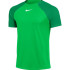 Футболка ігрова Nike DF Adacemy Pro SS TOP DH9225-329 DH9225-329