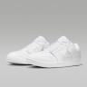 Кросівки Jordan COURT CONNECT LOW IQ5698-100