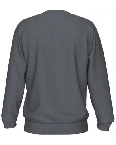 Худі Arena CREW SWEAT VINTAGE 008108-521