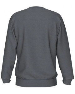 Худі Arena CREW SWEAT VINTAGE 008108-521