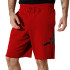 Шорти Jordan Jumpman Logo Shorts DB1812-687