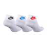 Шкарпетки Nike EVERYDAY ESSENTIAL AN DX5074-911