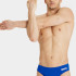 Плавки Arena TEAM SWIM BRIEFS SOLID 004773-720