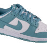 Кросівки Nike Dunk Low Retro DV0831-106