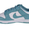 Кросівки Nike Dunk Low Retro DV0831-106