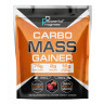 Рідина Carbo Mass Gainer - 2000g Forest Fruit 100-73-1938645-20