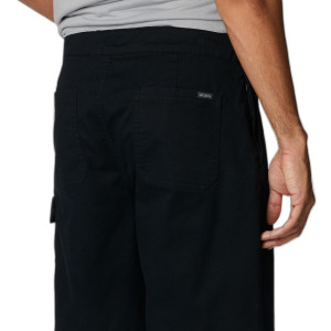 Шорти чоловічі Pacific Ridge 2030951CLB-010 Columbia 30 Чорний 2030951CLB-010