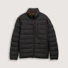 Куртка PUFFER JACKET 1043825-29999 Tom Tailor L Чорний 1043825-29999