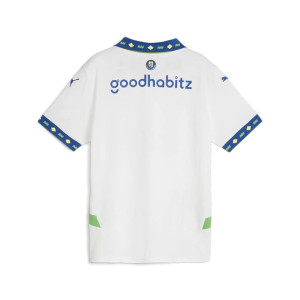Футболка PSV Third Jersey Replica Jr 775166-03