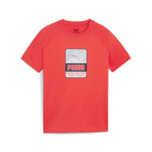 Футболка Puma ACTIVE SPORTS Graphic Tee B 679206-25