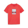 Футболка Puma ACTIVE SPORTS Graphic Tee B 679206-25