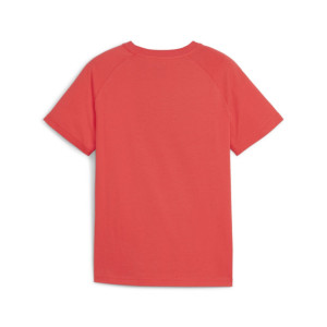 Футболка Puma ACTIVE SPORTS Graphic Tee B 679206-25